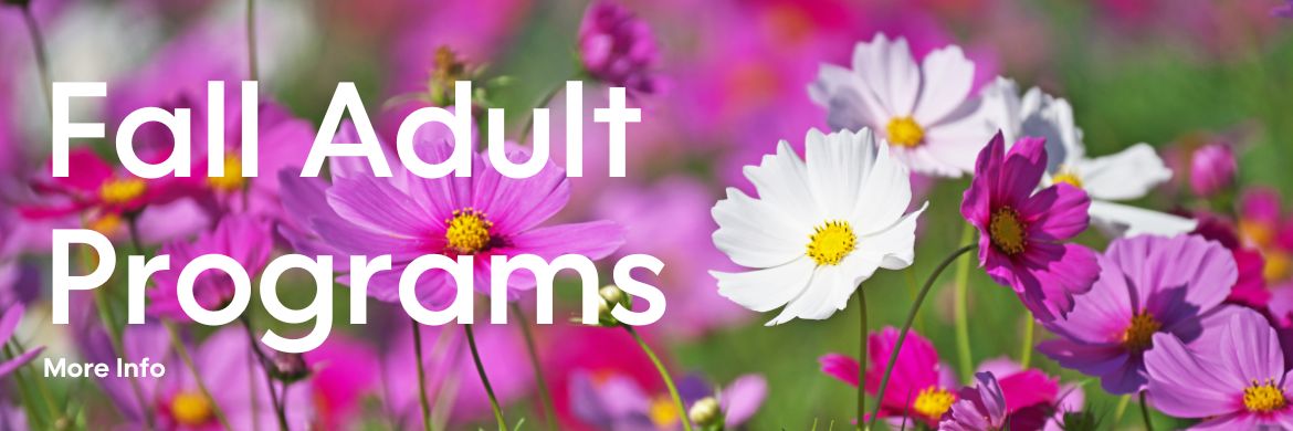 Fall Adult Programs