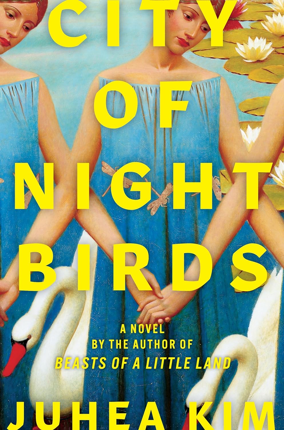 Image for "City of Night Birds"