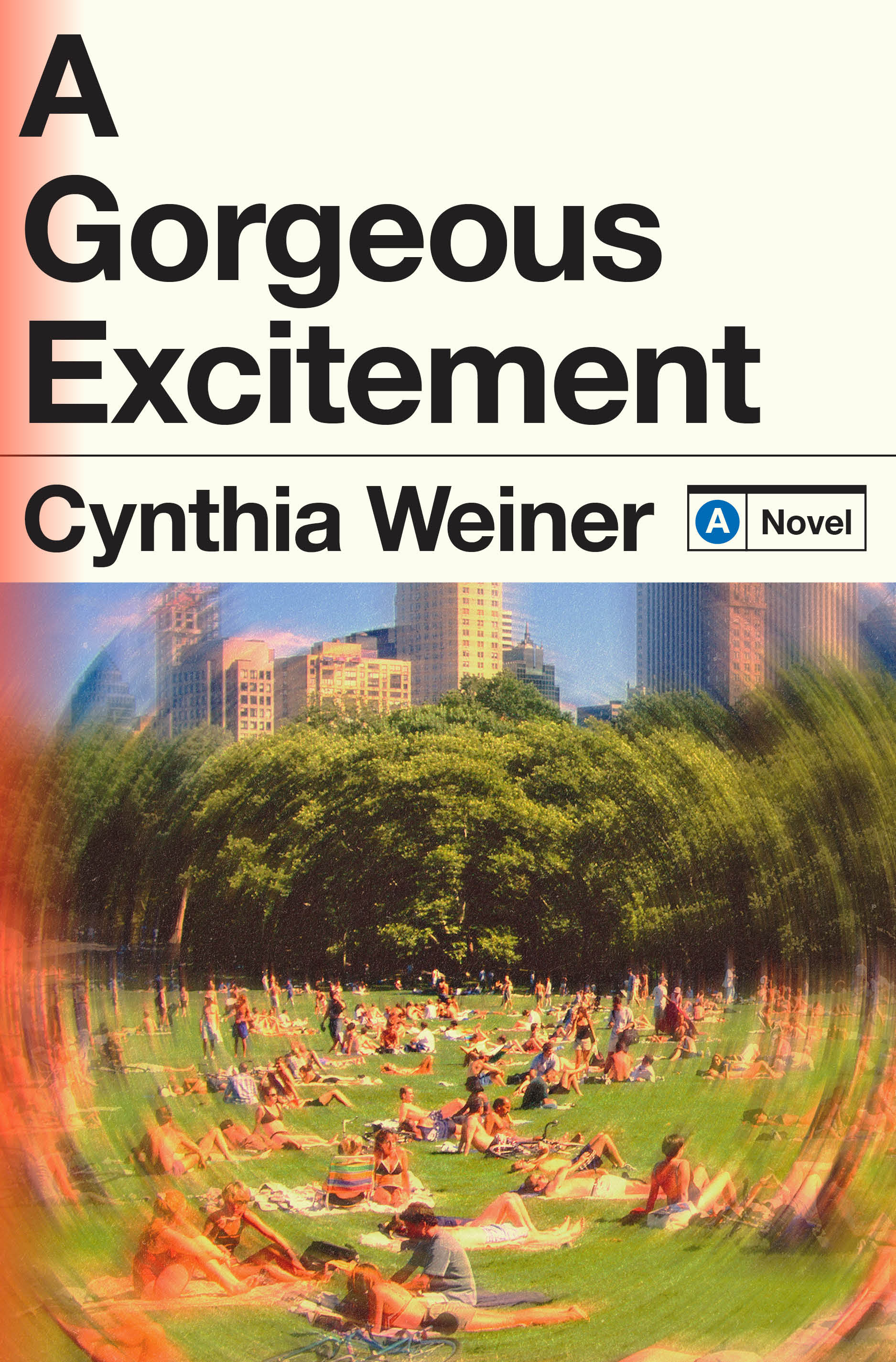 Image for "A Gorgeous Excitement"