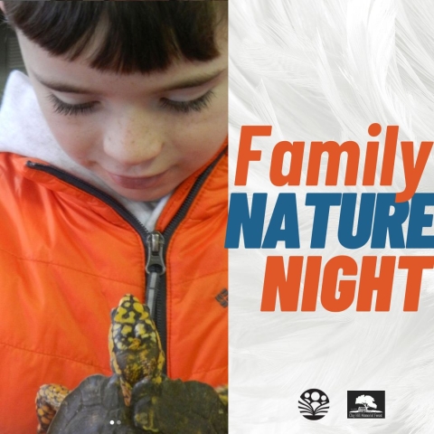 Family Nature Night