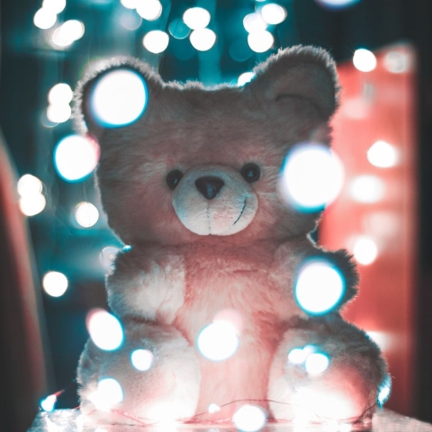 A stuffed bear with twinkle lights