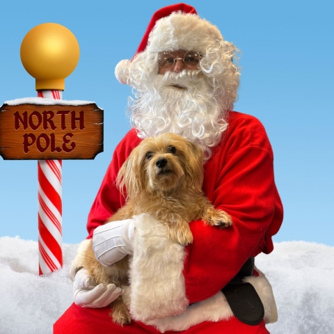 Santa Paws Photo Time - Harvey with Santa Kevin at the North Pole